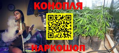 прущие грибы Бугуруслан