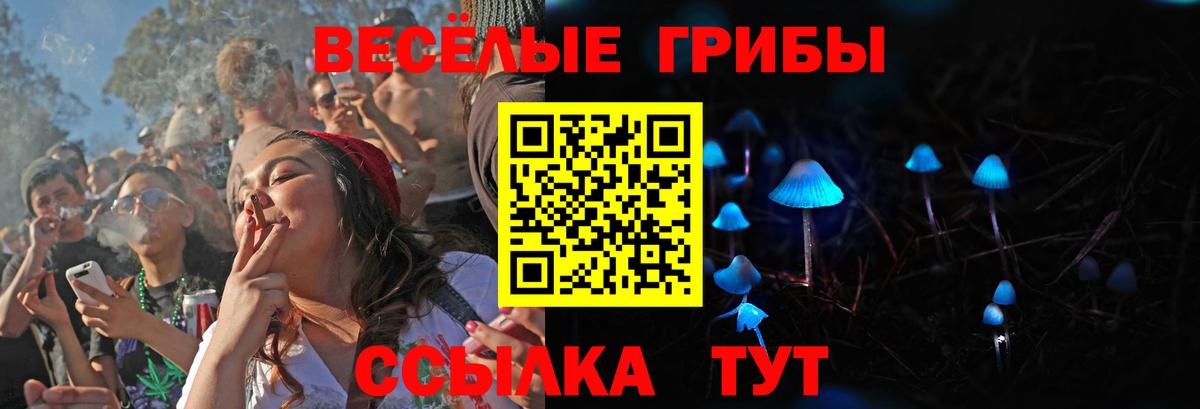 Псилоцибиновые грибы Psilocybine cubensis Лянтор